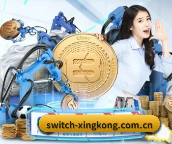 星空体育app APP | xingkongtiyu